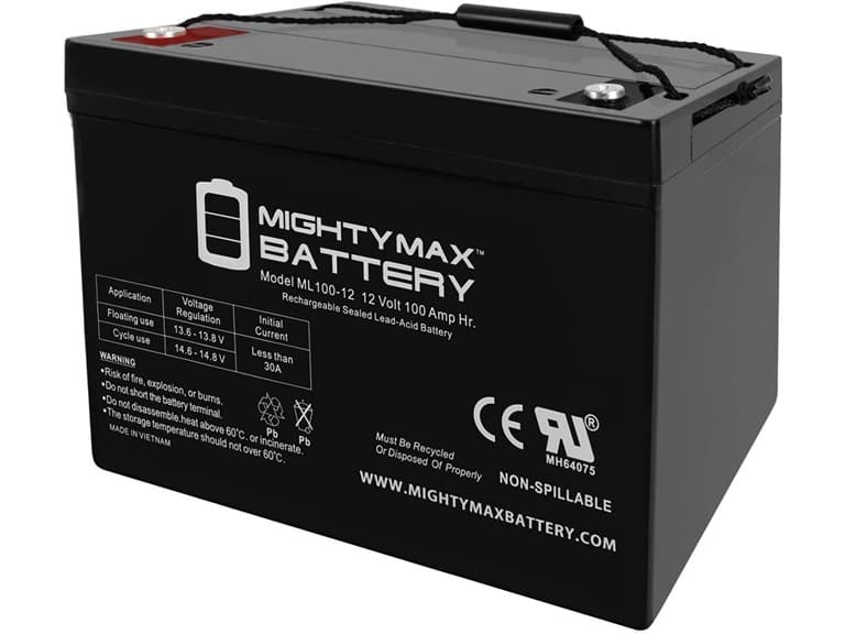 Mighty Max Battery 12 Volt 100 AH INT Rechargeable SLA AGM Battery
