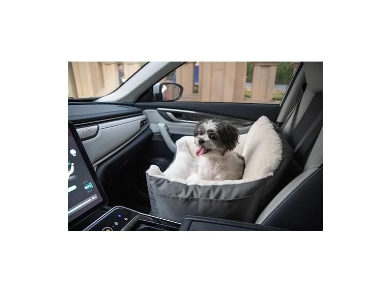 Best Pet Supplies Elevated Dog Car Seat for Small Dogs