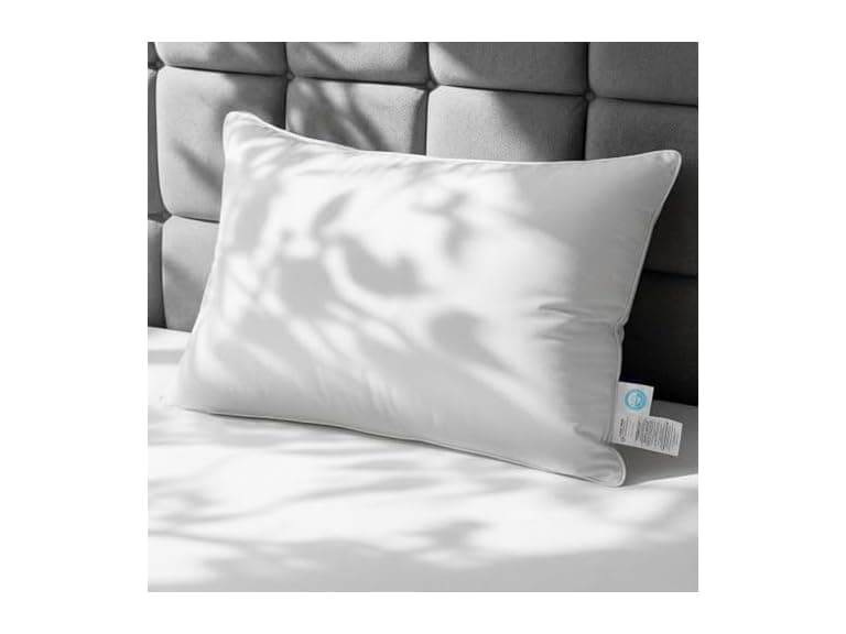Wedhouc White Goose Down Pillow, King