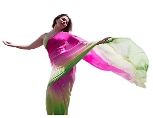 Sidhidata Women's Printed Pure Georgette Saree With Unstitched Blouse Piece (Rocky Aur Rani Ki Prem Kahani Saree) (Pink)