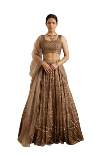 Frusha new indian Ready to Wear Bollywood Style Bridal-Wedding-Parties Lehenga Choli for Indian Women's And Girl's (B, 34)