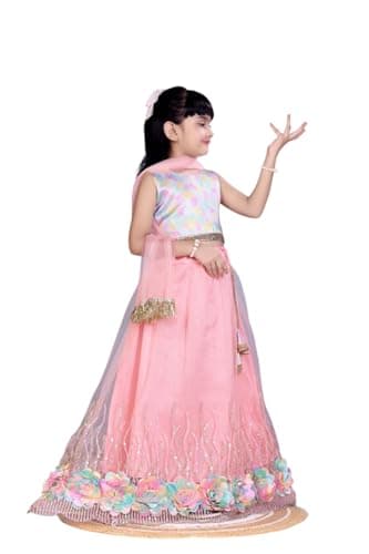 OQQTOO Traditional Indian Ethnic Girls Lehenga Choli Set,net with beautiful sequence work and flower design for girl. (baby pink, 3-4 years)