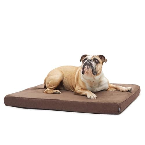 Barkbox Orthopedic Dog Bed wit...sy to Clean - Espresso, Medium