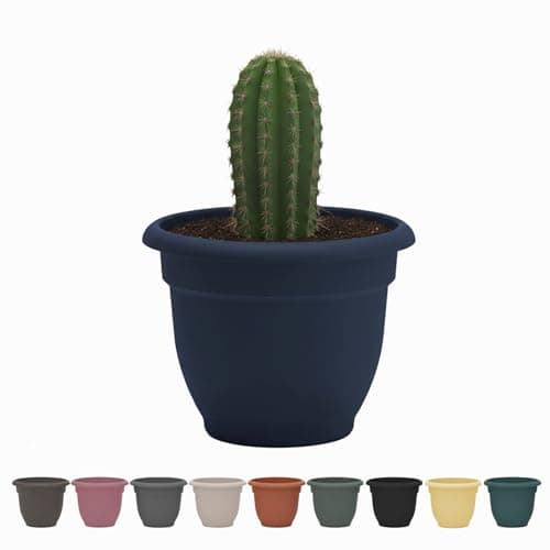 Bloem Ariana 6" Self-Watering Plastic Planter - Rolled Rim Indoor/Outdoor Garden Pot, Navy
