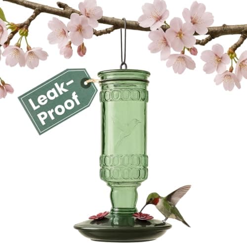 Perky-Pet Glass Bottle Humming...ee,Porch,Deck,Hook,(Pack of 6)