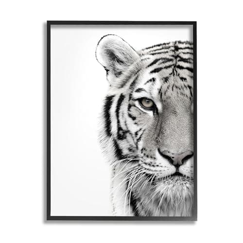 'White Tiger Close Up Black and White'| Framed Giclee Art