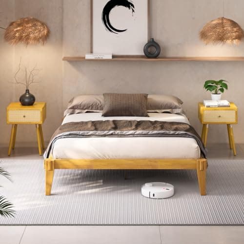 Bme Chalipa 14” Queen Bed Fram...& Modern Style, Golden Natural