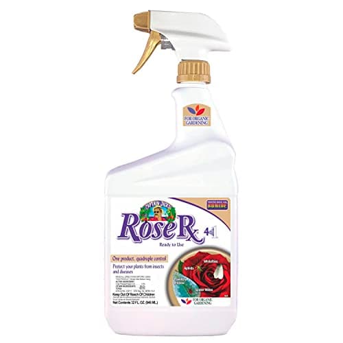 Bonide Captain Jack's Rose Rx ...Neem Oil for Organic Gardening