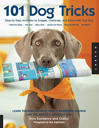 The Most Amazing Athletic Dog ... Dog (Dog Tricks and Training)