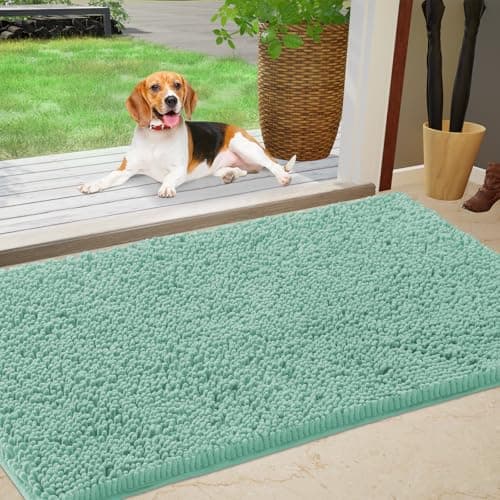 IM HOME Chenille Absorbent Outdoor Doormat 36" x 24", Washable Muddy Door Mats for Dog Non Slip Indoor Doormat Dog Mat for Muddy Paw Front Inside Doormats for Entryway Seafoam Green