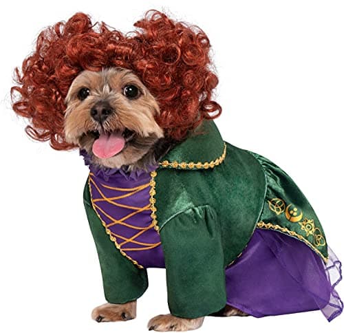 Rubie's Disney Hocus Pocus Win...d Sanderson Pet Costume, Small