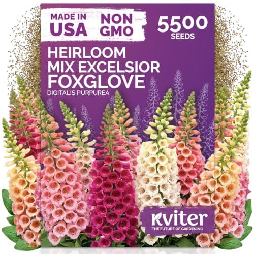 KVITER 5500 Foxglove Excelsior Mix Seeds (Digitalis Purpurea) – Foxglove, Pastel Color, Tall Flowers, Heirloom Flower Seed Packets - Biennial Flower Seeds for Outdoor Garden, Borders & Containers